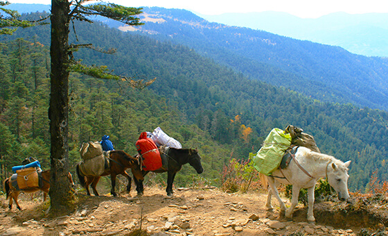 place to visit Trashigang