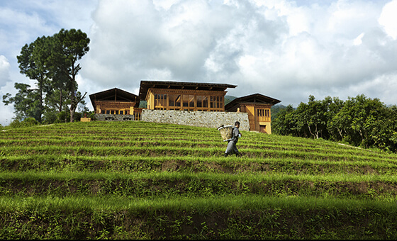 place to visit Wangdi Phodrang