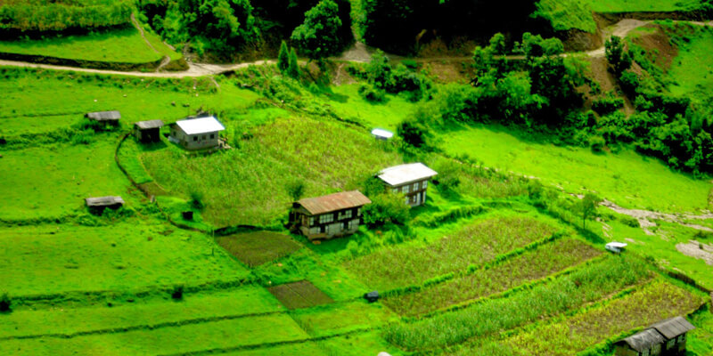 Place to visit Punakha